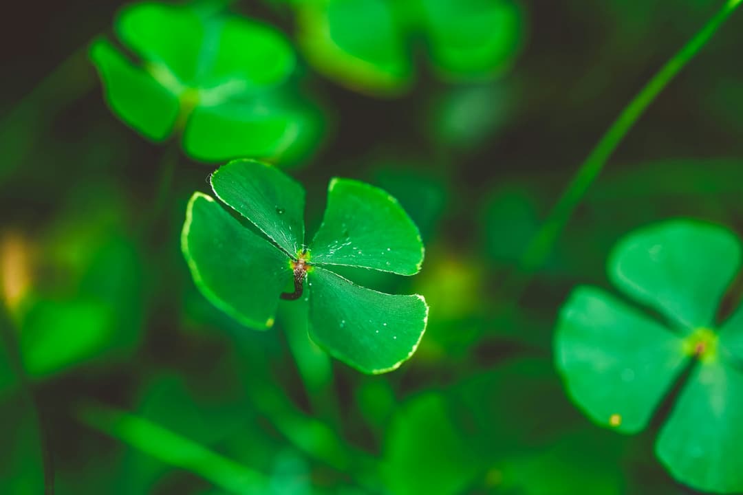 幸運を呼ぶラッキーアクションのイメージ